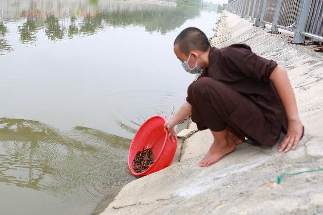 Charity of  Dong Cao pagoda